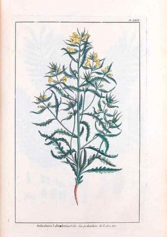 Reproducción/Reproduction 48976006142: Le grand jardin de l'univers,. Paris,Chez l'auteur,1785-1791.. 
