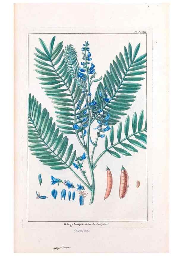 Reproducción/Reproduction 48975275963: Le grand jardin de l'univers,. Paris,Chez l'auteur,1785-1791.. 