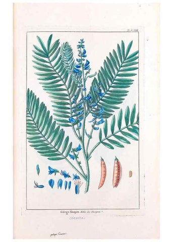 Reproducción/Reproduction 48975275963: Le grand jardin de l'univers,. Paris,Chez l'auteur,1785-1791.. 