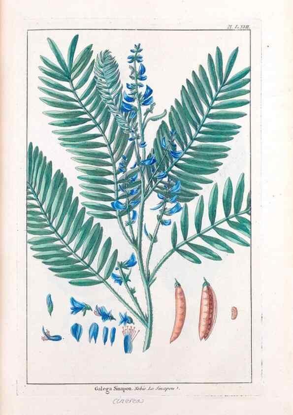Reproducción/Reproduction 48975275963: Le grand jardin de l'univers,. Paris,Chez l'auteur,1785-1791.. 