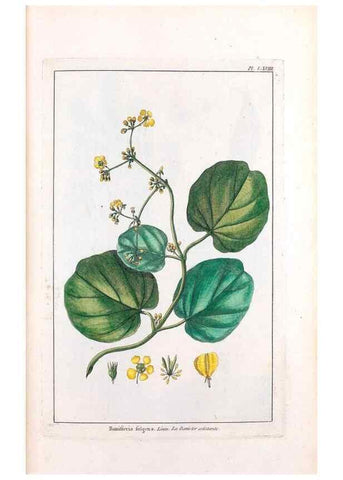 Reproducción/Reproduction 48976007052: Le grand jardin de l'univers,. Paris,Chez l'auteur,1785-1791.. 