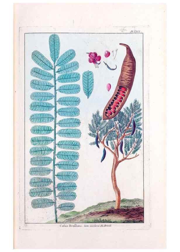 Reproducción/Reproduction 48975276813: Le grand jardin de l'univers,. Paris,Chez l'auteur,1785-1791.. 