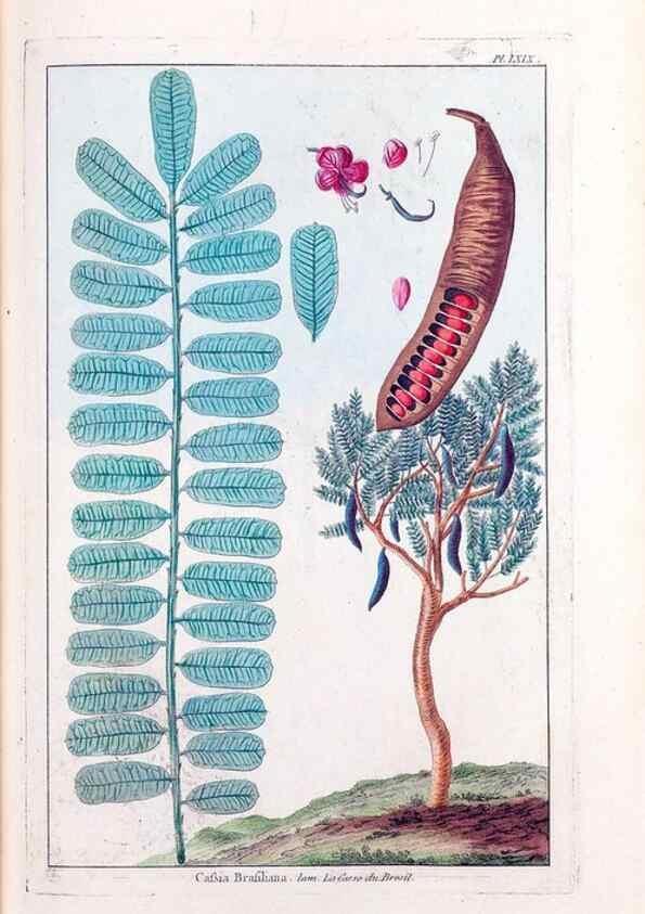 Reproducción/Reproduction 48975276813: Le grand jardin de l'univers,. Paris,Chez l'auteur,1785-1791.. 