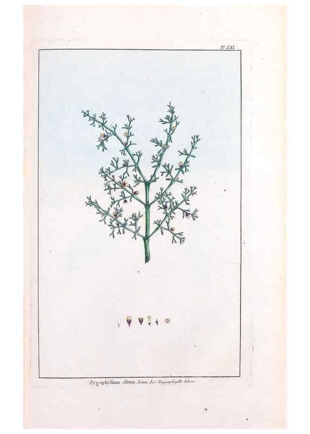 Reproducción/Reproduction 48976008122: Le grand jardin de l'univers,. Paris,Chez l'auteur,1785-1791.. 