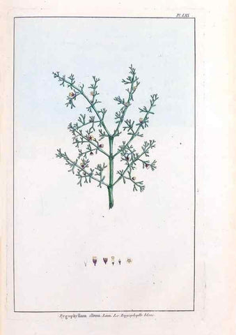 Reproducción/Reproduction 48976008122: Le grand jardin de l'univers,. Paris,Chez l'auteur,1785-1791.. 