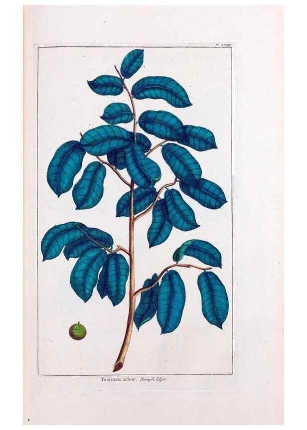 Reproducción/Reproduction 48975278388: Le grand jardin de l'univers,. Paris,Chez l'auteur,1785-1791.. 