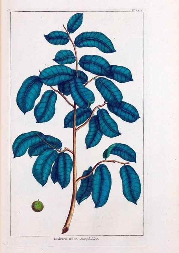 Reproducción/Reproduction 48975278388: Le grand jardin de l'univers,. Paris,Chez l'auteur,1785-1791.. 