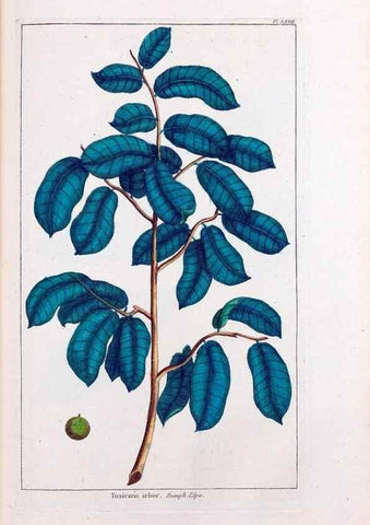 Reproducción/Reproduction 48975278388: Le grand jardin de l'univers,. Paris,Chez l'auteur,1785-1791.. 