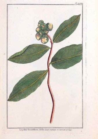 Reproducción/Reproduction 48976009607: Le grand jardin de l'univers,. Paris,Chez l'auteur,1785-1791.. 