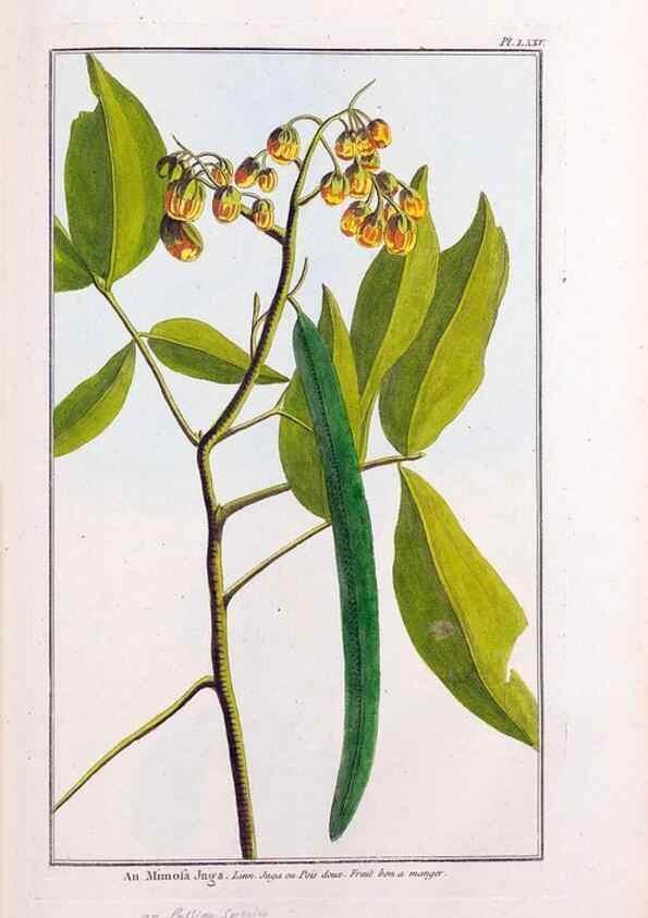 Reproducción/Reproduction 48976010477: Le grand jardin de l'univers,. Paris,Chez l'auteur,1785-1791.. 