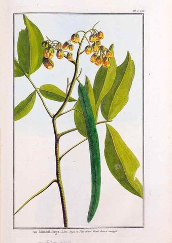 Reproducción/Reproduction 48976010477: Le grand jardin de l'univers,. Paris,Chez l'auteur,1785-1791.. 