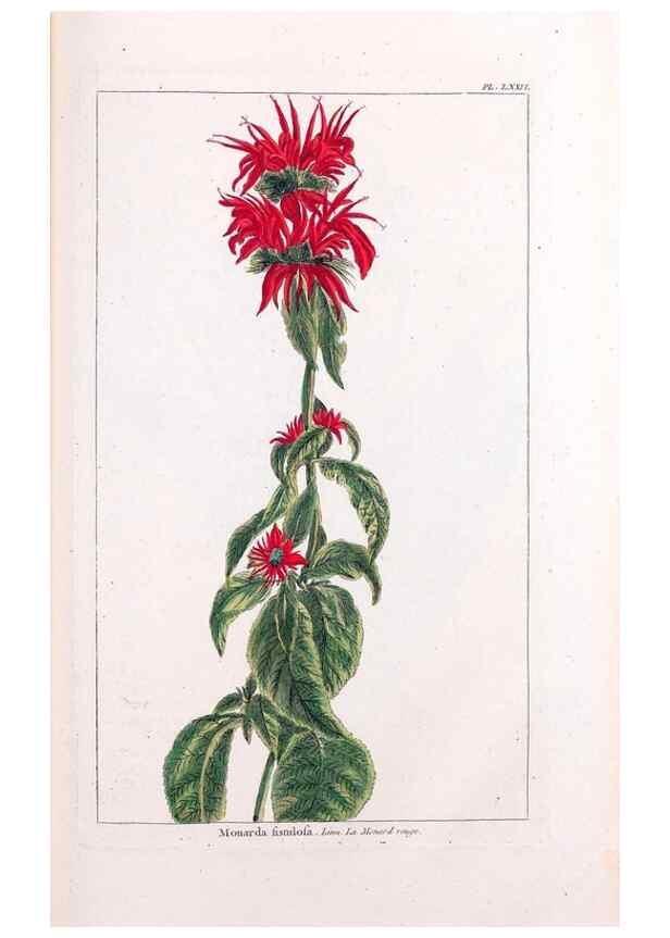 Reproducción/Reproduction 48975830016: Le grand jardin de l'univers,. Paris,Chez l'auteur,1785-1791.. 