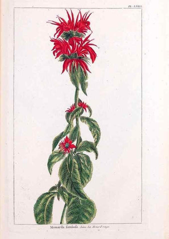 Reproducción/Reproduction 48975830016: Le grand jardin de l'univers,. Paris,Chez l'auteur,1785-1791.. 