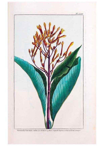 Reproducción/Reproduction 48975280578: Le grand jardin de l'univers,. Paris,Chez l'auteur,1785-1791.. 