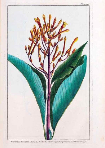 Reproducción/Reproduction 48975280578: Le grand jardin de l'univers,. Paris,Chez l'auteur,1785-1791.. 