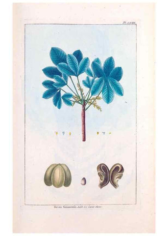Reproducción/Reproduction 48975281428: Le grand jardin de l'univers,. Paris,Chez l'auteur,1785-1791.. 