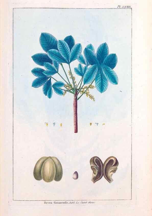 Reproducción/Reproduction 48975281428: Le grand jardin de l'univers,. Paris,Chez l'auteur,1785-1791.. 