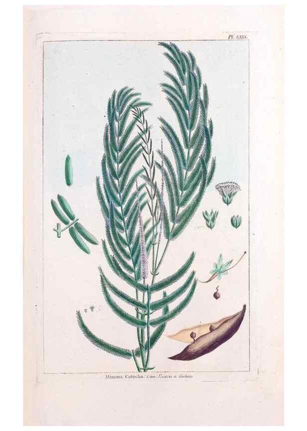 Reproducción/Reproduction 48975831561: Le grand jardin de l'univers,. Paris,Chez l'auteur,1785-1791.. 