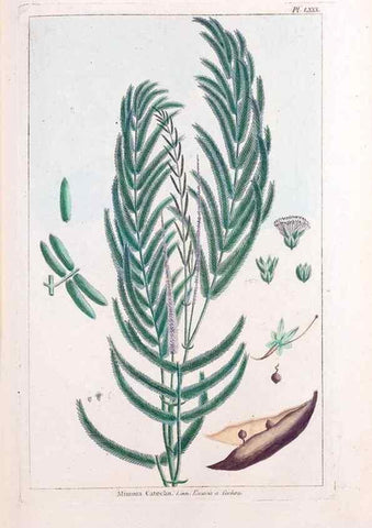 Reproducción/Reproduction 48975831561: Le grand jardin de l'univers,. Paris,Chez l'auteur,1785-1791.. 