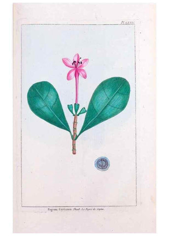 Reproducción/Reproduction 48975831966: Le grand jardin de l'univers,. Paris,Chez l'auteur,1785-1791.. 