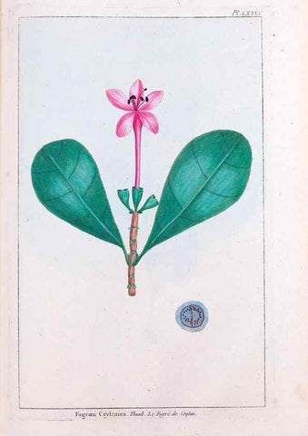 Reproducción/Reproduction 48975831966: Le grand jardin de l'univers,. Paris,Chez l'auteur,1785-1791.. 