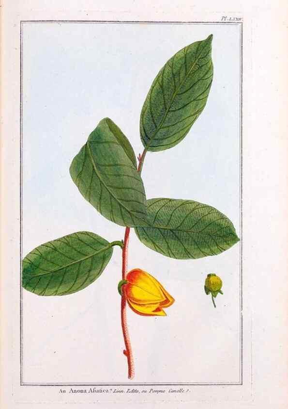 Reproducción/Reproduction 48975279243: Le grand jardin de l'univers,. Paris,Chez l'auteur,1785-1791.. 