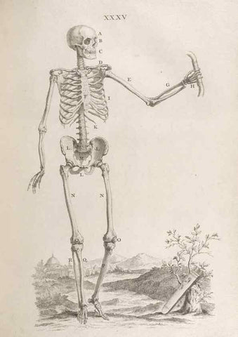 Reproducción/Reproduction 48832976282: Osteographia, or the Anatomy of the Bones.. London,1733.. 