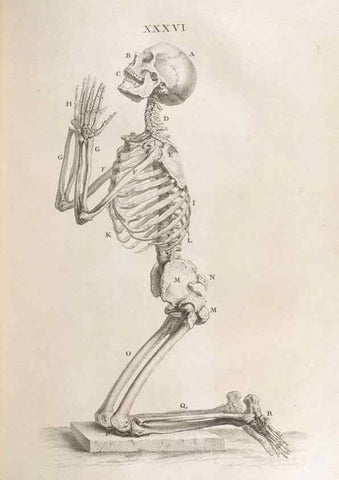 Reproducción/Reproduction 48832976647: Osteographia, or the Anatomy of the Bones.. London,1733.. 