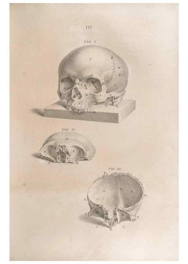 Reproducción/Reproduction 48832793811: Osteographia, or the Anatomy of the Bones.. London,1733.. 