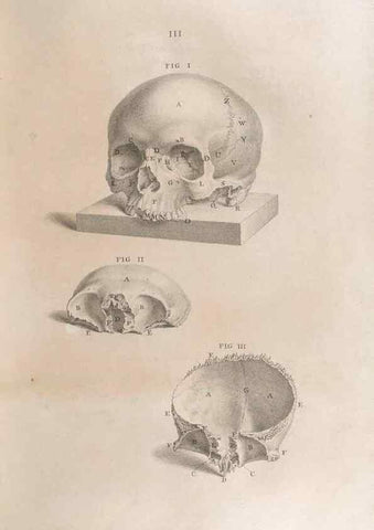 Reproducción/Reproduction 48832793811: Osteographia, or the Anatomy of the Bones.. London,1733.. 