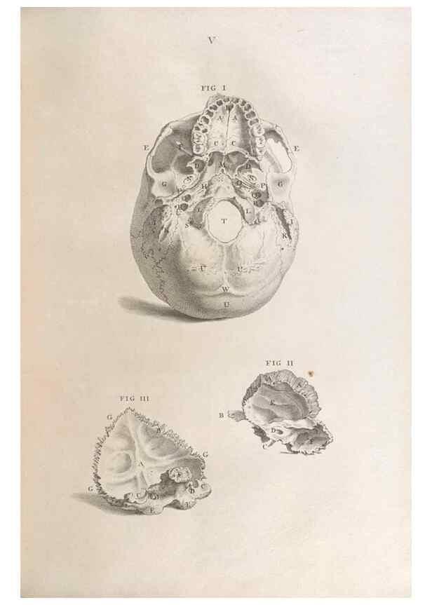 Reproducción/Reproduction 48832428563: Osteographia, or the Anatomy of the Bones.. London,1733.. 