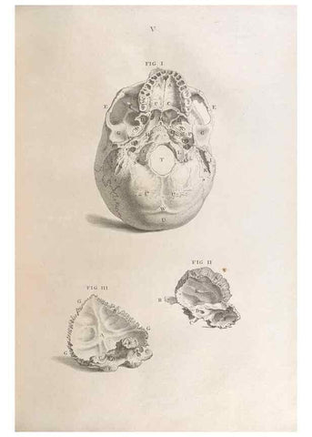 Reproducción/Reproduction 48832428563: Osteographia, or the Anatomy of the Bones.. London,1733.. 