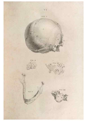 Reproducción/Reproduction 48832428873: Osteographia, or the Anatomy of the Bones.. London,1733.. 