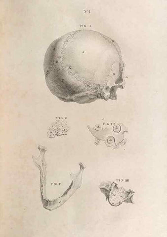 Reproducción/Reproduction 48832428873: Osteographia, or the Anatomy of the Bones.. London,1733.. 