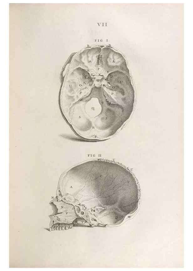 Reproducción/Reproduction 48832795171: Osteographia, or the Anatomy of the Bones.. London,1733.. 