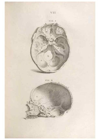 Reproducción/Reproduction 48832795171: Osteographia, or the Anatomy of the Bones.. London,1733.. 