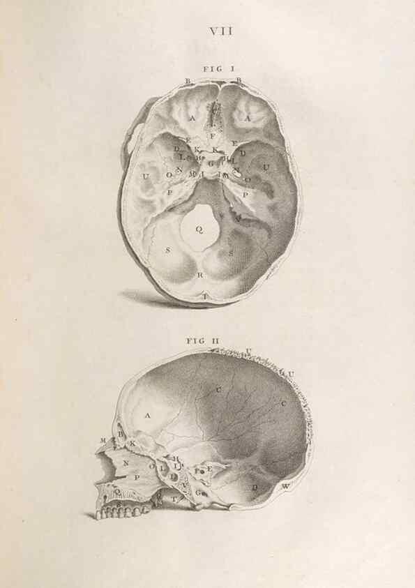 Reproducción/Reproduction 48832795171: Osteographia, or the Anatomy of the Bones.. London,1733.. 