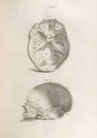 Reproducción/Reproduction 48832795171: Osteographia, or the Anatomy of the Bones.. London,1733.. 