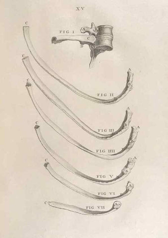 Reproducción/Reproduction 48832798231: Osteographia, or the Anatomy of the Bones.. London,1733.. 