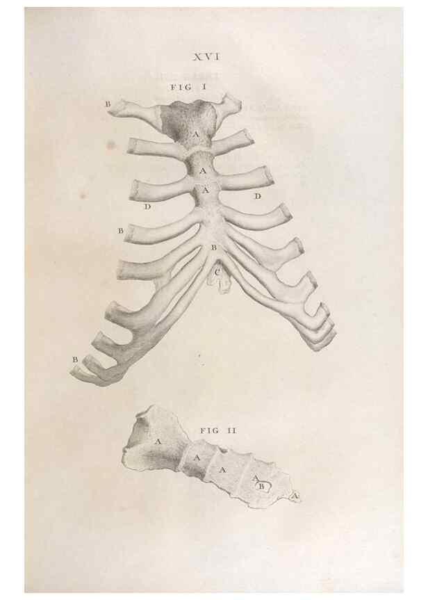 Reproducción/Reproduction 48832798686: Osteographia, or the Anatomy of the Bones.. London,1733.. 