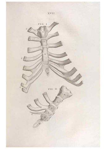 Reproducción/Reproduction 48832969902: Osteographia, or the Anatomy of the Bones.. London,1733.. 