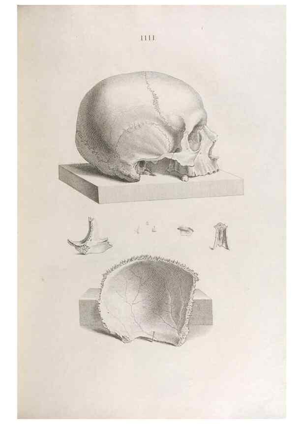 Reproducción/Reproduction 48832985212: Osteographia, or the Anatomy of the Bones.. London,1733.. 