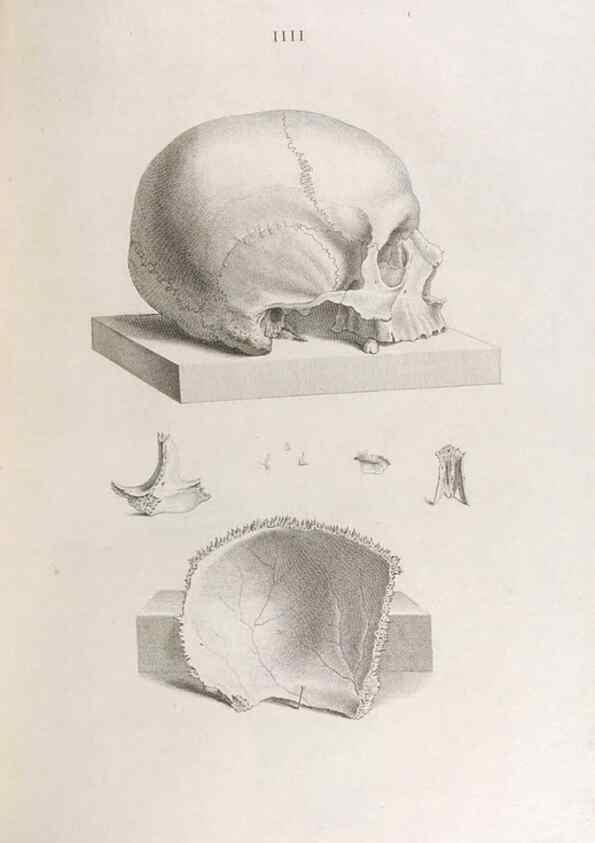 Reproducción/Reproduction 48832985212: Osteographia, or the Anatomy of the Bones.. London,1733.. 