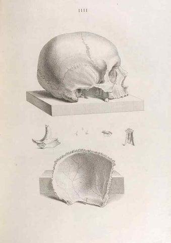 Reproducción/Reproduction 48832985212: Osteographia, or the Anatomy of the Bones.. London,1733.. 