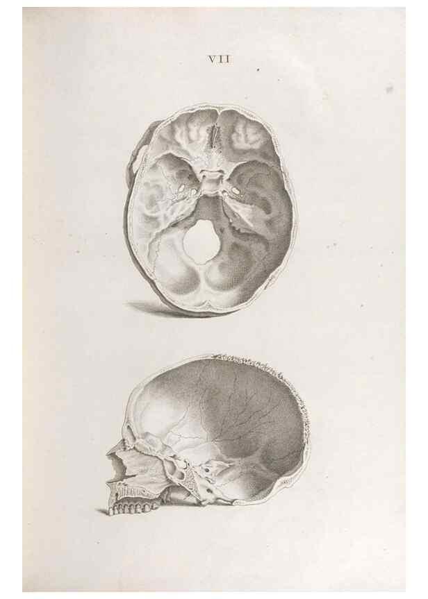 Reproducción/Reproduction 48832449798: Osteographia, or the Anatomy of the Bones.. London,1733.. 