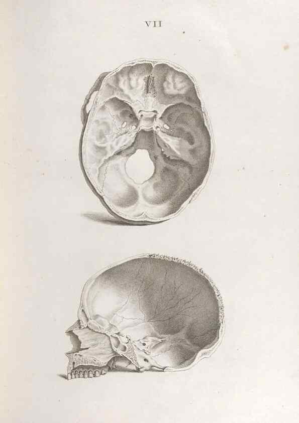 Reproducción/Reproduction 48832449798: Osteographia, or the Anatomy of the Bones.. London,1733.. 