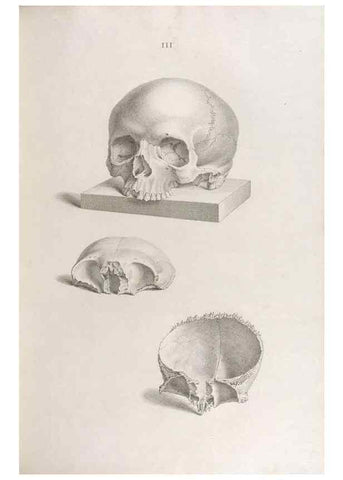 Reproducción/Reproduction 48832814516: Osteographia, or the Anatomy of the Bones.. London,1733.. 