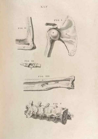 Reproducción/Reproduction 48832809151: Osteographia, or the Anatomy of the Bones.. London,1733.. 