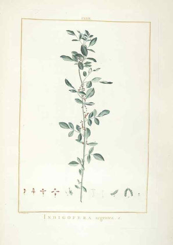 Reproducción/Reproduction 48826812747: Stirpes novae :. Parisiis :ex typographia Philippi-Dionysii Pierres,1784-85.. 