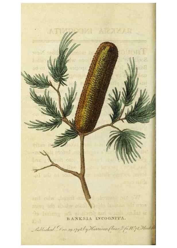 Reproducción/Reproduction 48827163452: The Naturalist's Pocket Magazine or compleat cabinet of the curiosities and beauties of nature.. London.. 